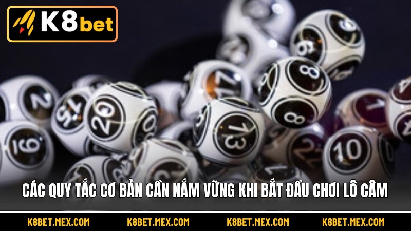Các quy tắc cơ bản cần nắm vững khi bắt đầu chơi lô câm