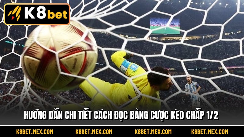 Hướng dẫn chi tiết cách đọc bảng cược Kèo Chấp 1/2