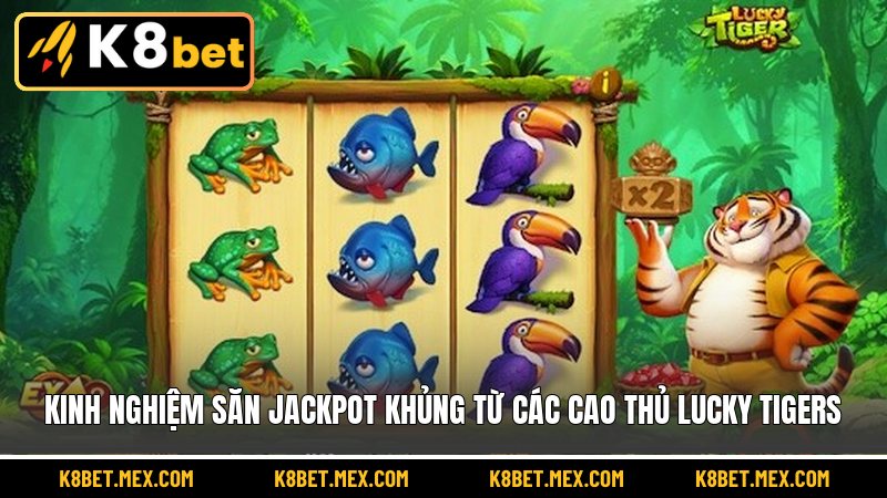 Kinh nghiệm săn Jackpot khủng từ các cao thủ Lucky Tigers