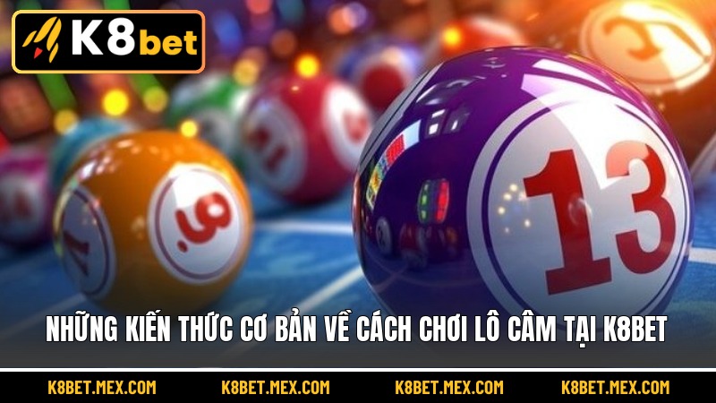 Những kiến thức cơ bản về cách chơi lô câm tại K8BET