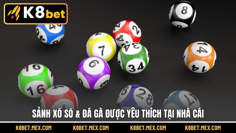 Sảnh xổ số & đá gà được yêu thích tại nhà cái